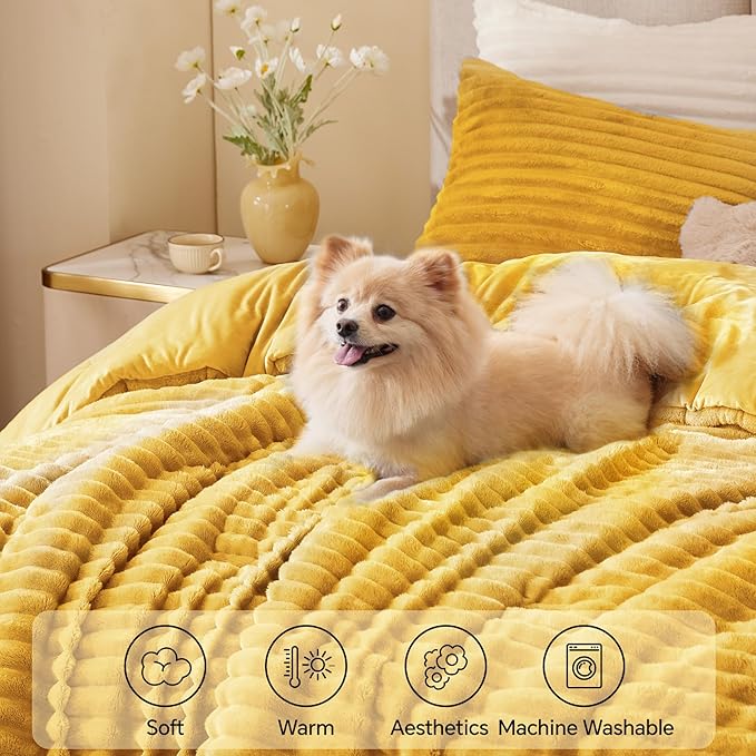 Comforter Set - Twin