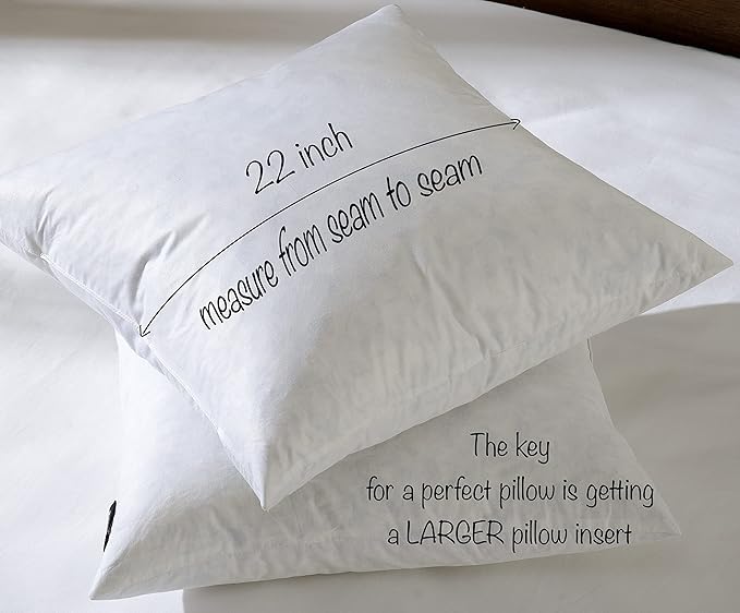 Pillow Insert - 2 Piece