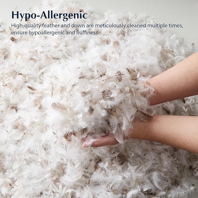 100% Cotton Bed Pillow - Standard