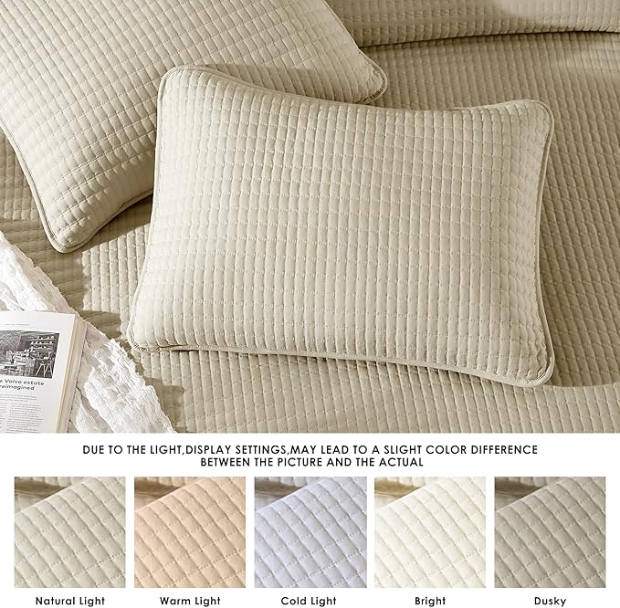 Quilt Set - Queen - 3 Piece