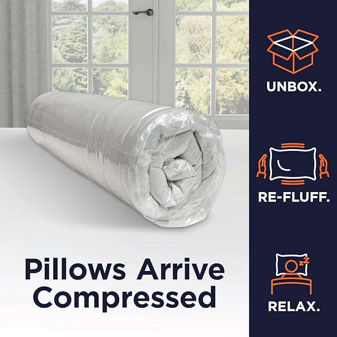 Hypoallergenic Pillow Insert - 2 Pack