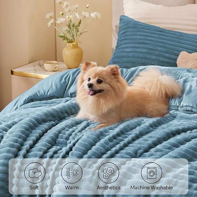 Comforter Set - Full
