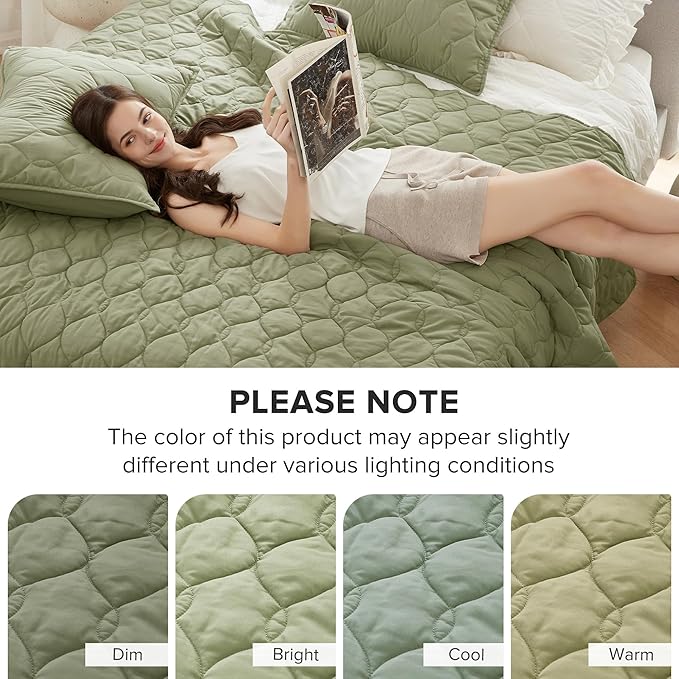 Quilt Set - Queen - 3 Piece