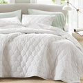 Quilt Set - Queen - 3 Piece