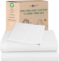 Bed Sheet Set - Twin - 3 Piece