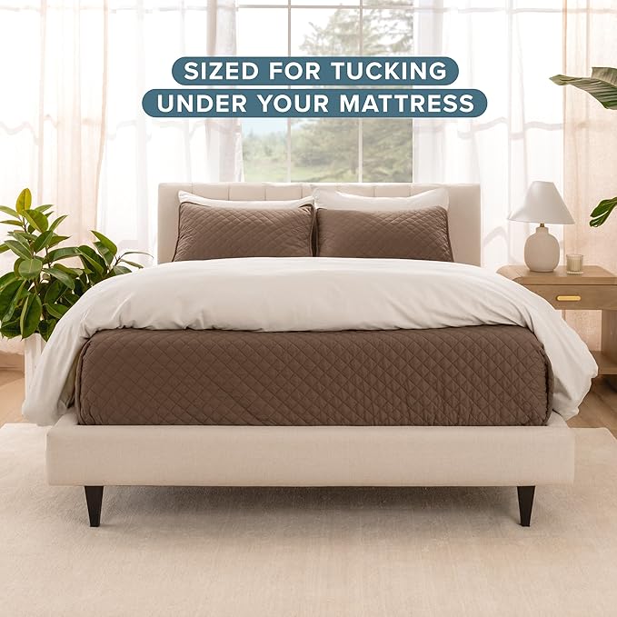 Bedding Set - Queen - 3 Piece