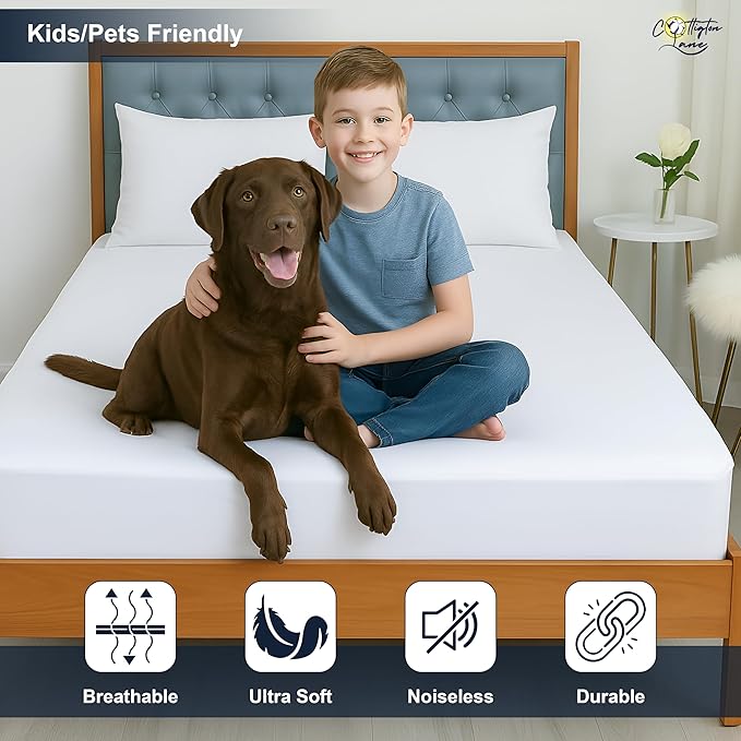 Waterproof Mattress Protector - Queen
