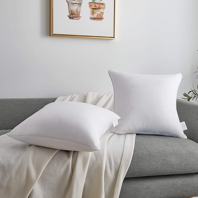 100% Cotton Pillow Insert - 2 Piece