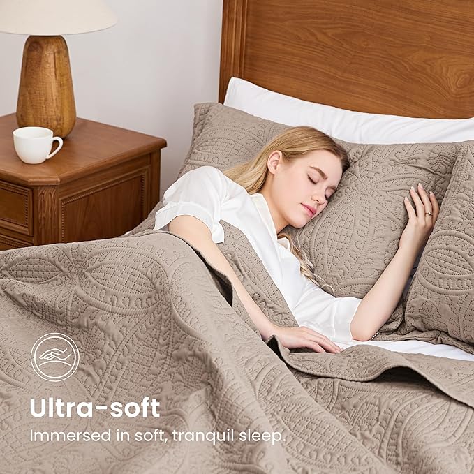 Quilt Set - Queen - 3 Piece