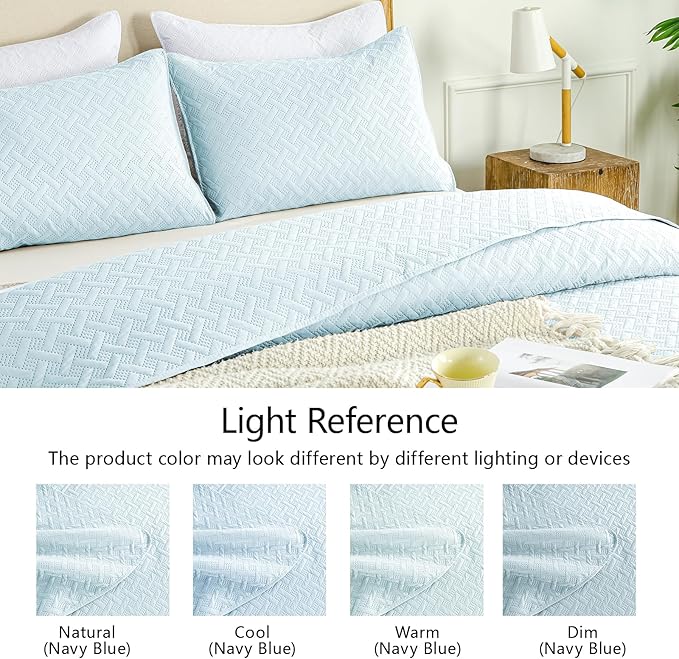 Microfiber Quilt Set - Queen - 3 Piece