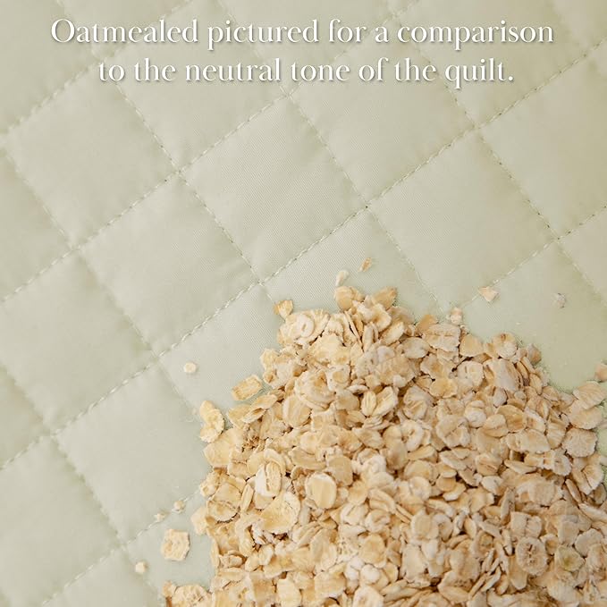 Microfiber Quilt Set - Twin XL