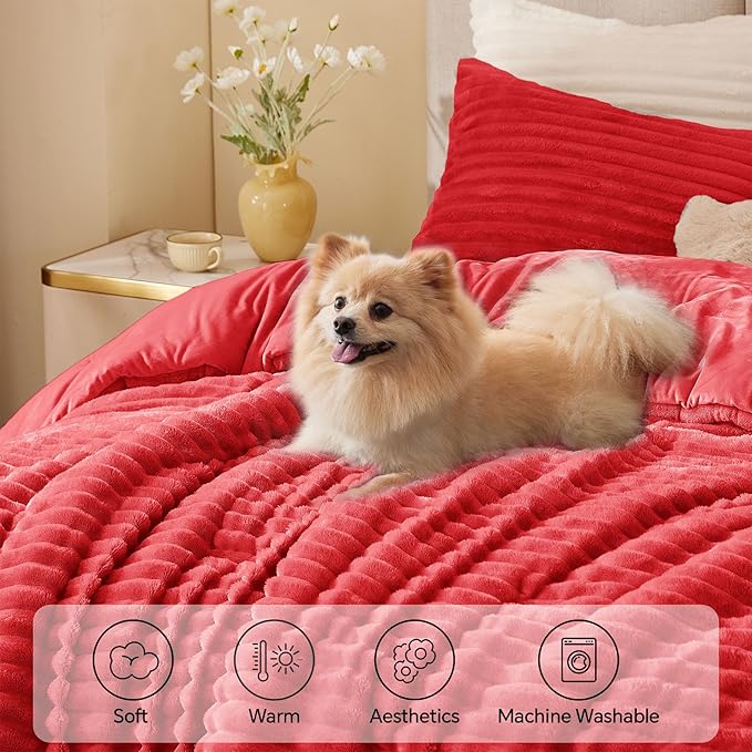 Comforter Set - Queen