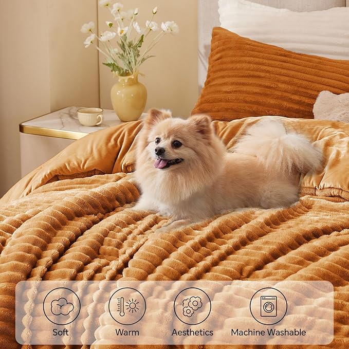 Comforter Set - Twin