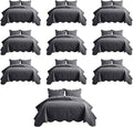 Microfiber Quilt Set - Twin - 10 Pack