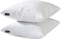 Pillow Insert - 2 Piece