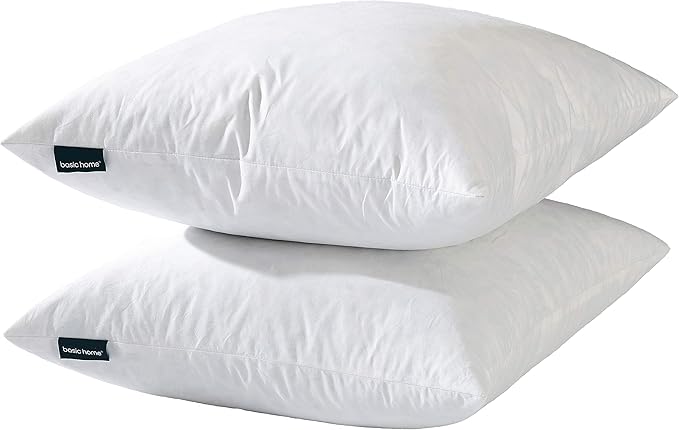 Pillow Insert - 2 Piece