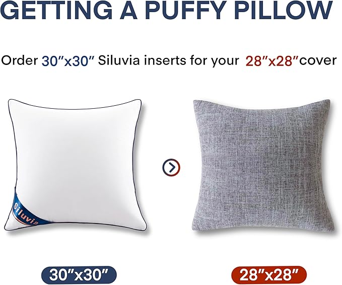 100% Cotton Pillow Insert - 2 Piece
