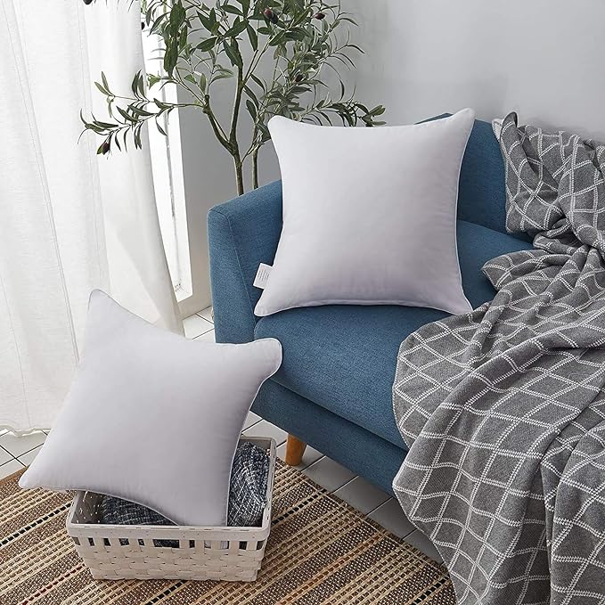 100% Cotton Pillow Insert - 2 Piece