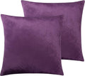 Velvet Pillowcase Set - 18 x 18 in - 2 Pack