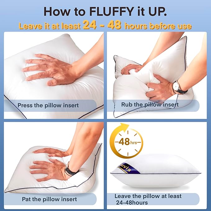 100% Cotton Pillow Insert - 2 Piece