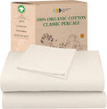 Bed Sheet Set - Twin - 3 Piece