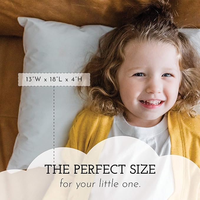 Hypoallergenic Bed Pillow