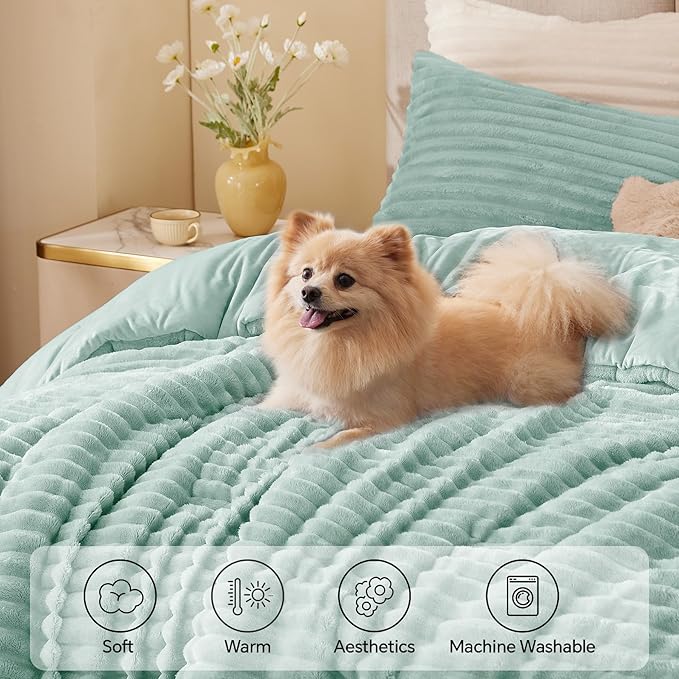 Comforter Set - Twin