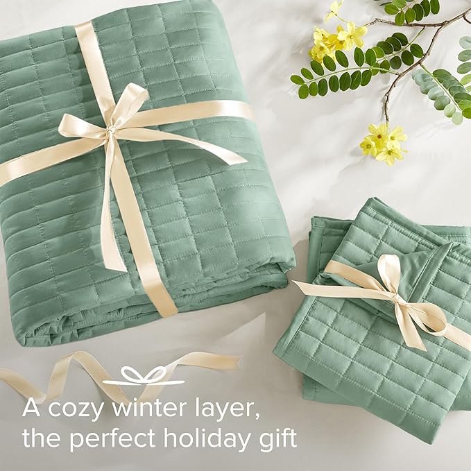 Quilt Set - King - 3 Piece