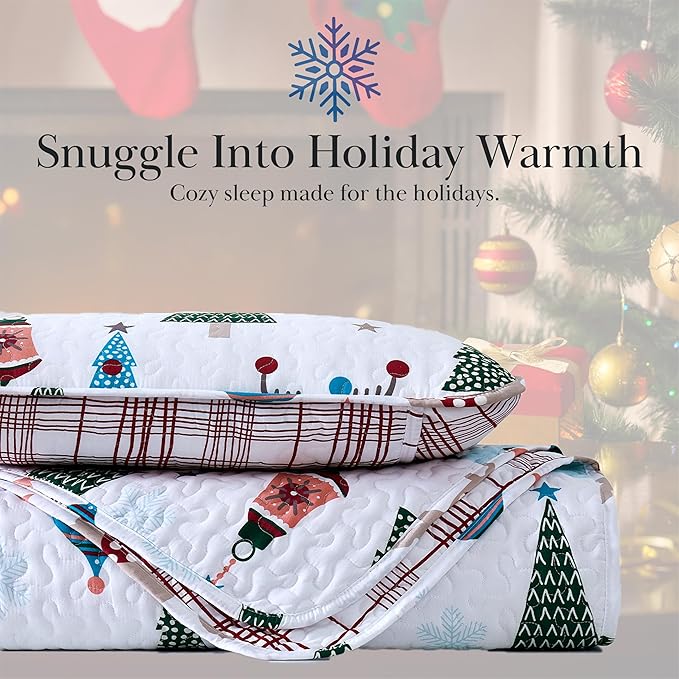 Quilt Set - California King - 3 Piece