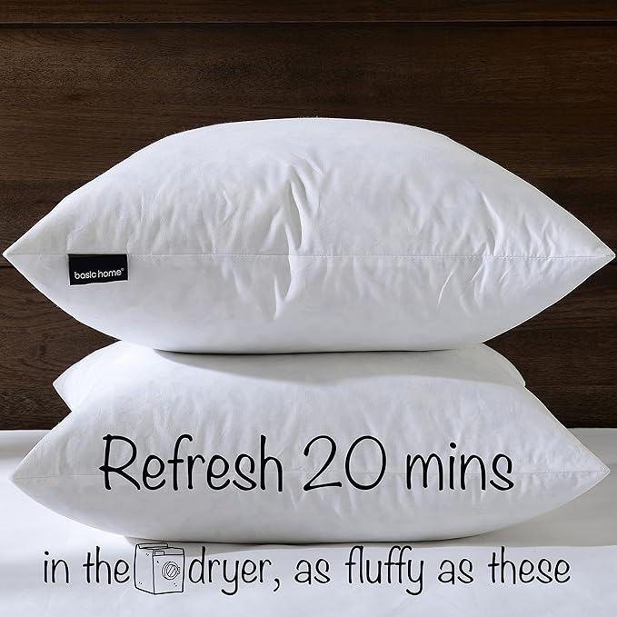 Pillow Insert - 2 Piece