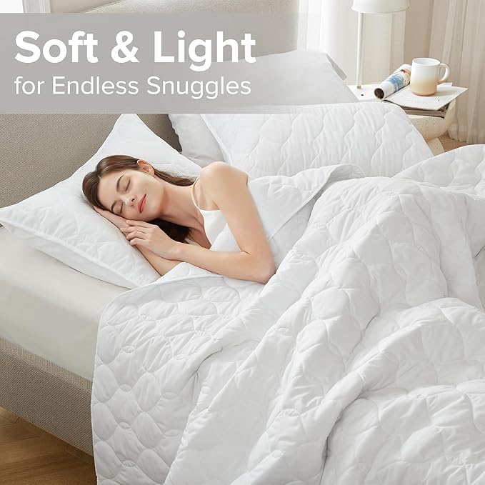 Quilt Set - Queen - 3 Piece