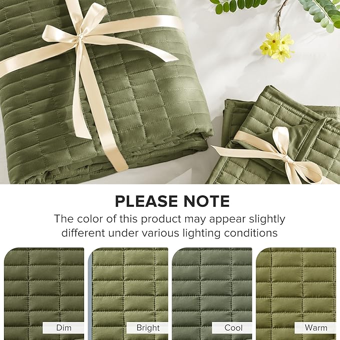 Quilt Set - Queen - 3 Piece