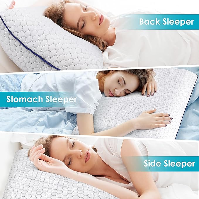 Memory Foam Bed Pillow - Queen - 2 Piece