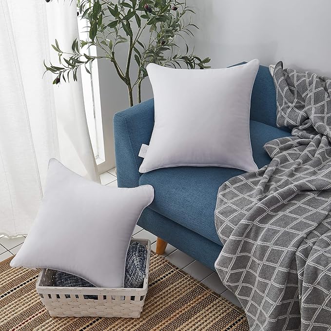100% Cotton Pillow Insert - 2 Piece