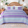 Microfiber Quilt Set - Queen - 3 Piece