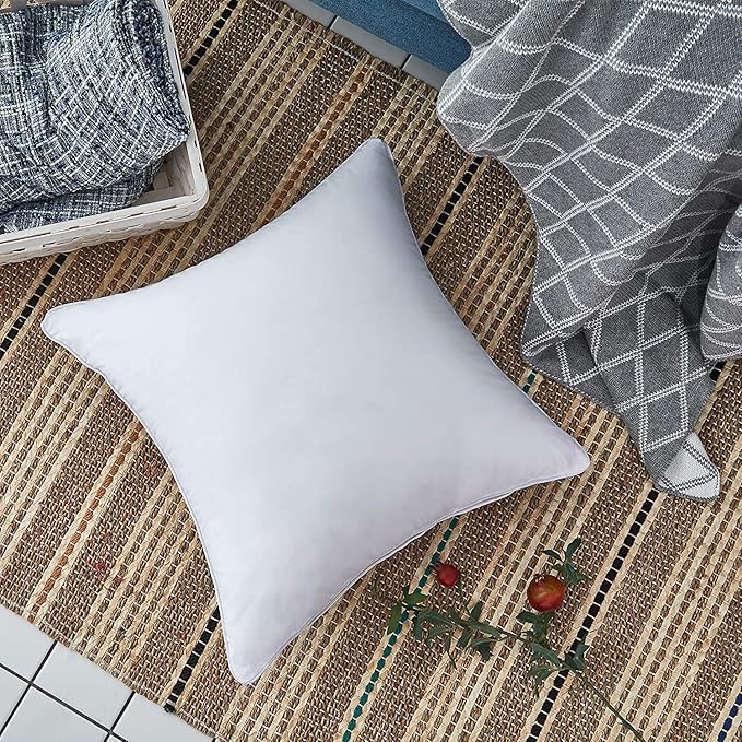 100% Cotton Pillow Insert - 2 Piece
