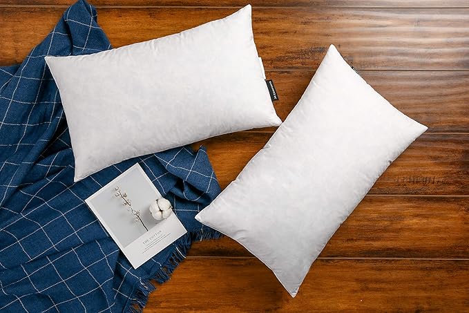 Pillow Insert - 2 Piece