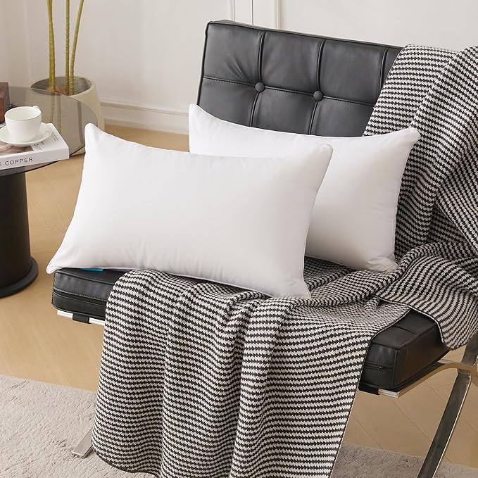 100% Cotton Pillow Insert - 2 Piece