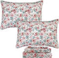Bed Sheet Set - Queen - 4 Piece