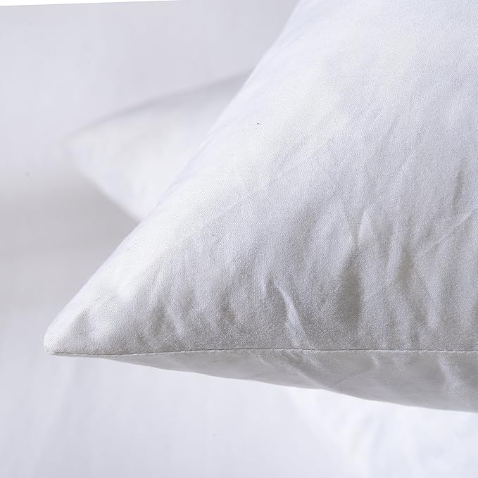 Pillow Insert - 2 Piece