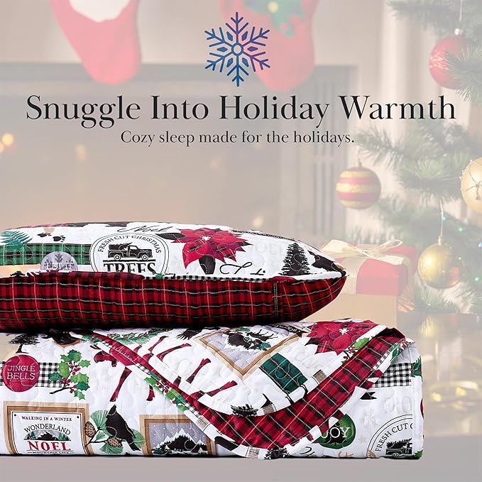 Quilt Set - Twin XL - 2 Piece