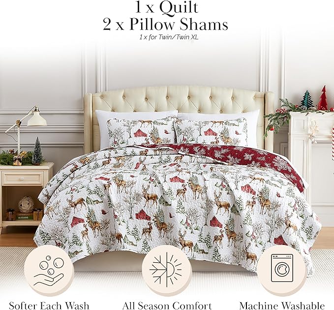 Quilt Set - Twin XL