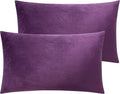 Flannel Pillowcase Set - Queen - 20 x 30 in - 2 Pack
