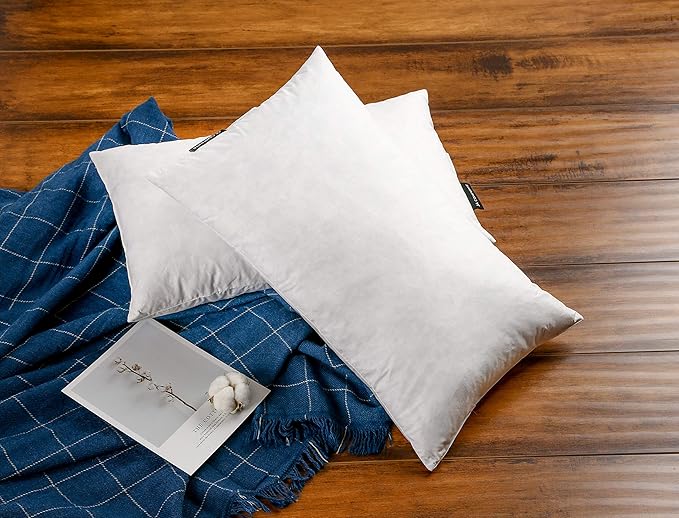 Pillow Insert - 2 Piece