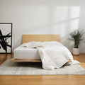 100% Cotton Duvets Down Comforter - Queen