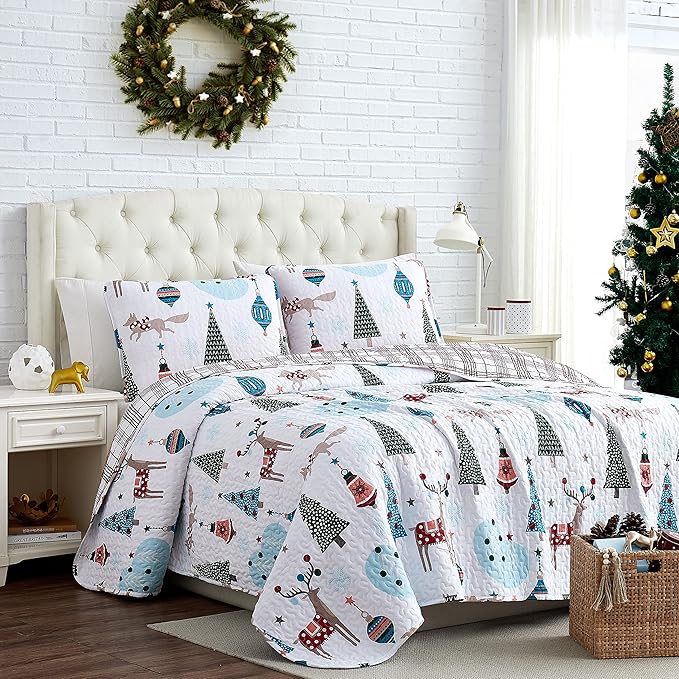 Quilt Set - Queen - 3 Piece